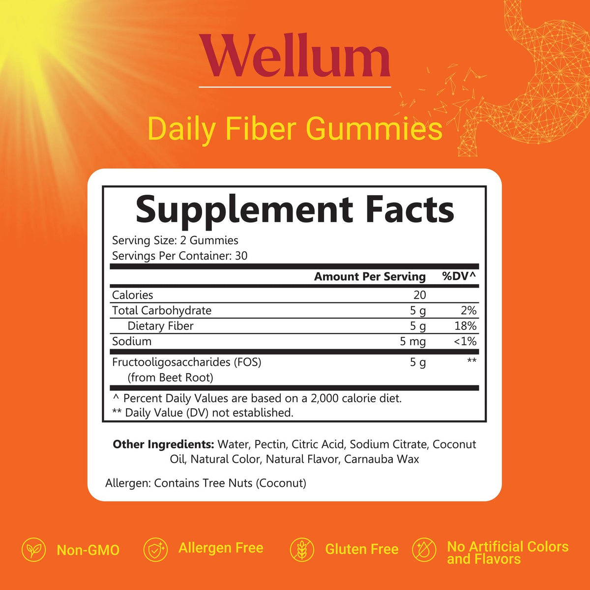 wellum daily fiber bag supplement facts