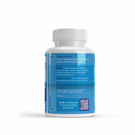 Body Balance GLP-1 Companion 60ct Capsules