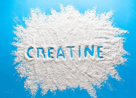 Creatine Gummies vs Powder: Which Is More Effective?