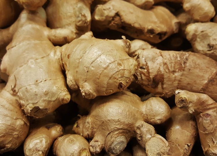 Ginger Root Benefits: How It Supports Digestion and Immune Support