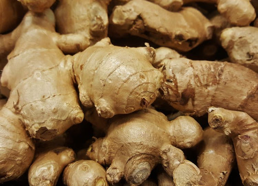 Ginger Root Benefits: How It Supports Digestion and Immune Support