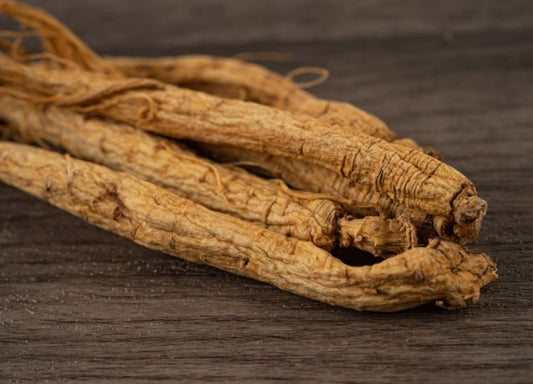 Is Panax Ginseng The Same As Red Ginseng