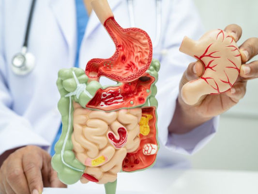 Signs Your Gut Health May Need Support