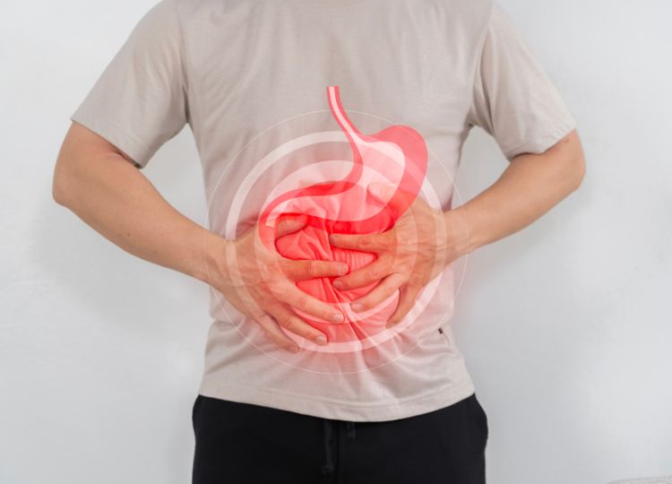 Why Fiber Is Essential for Digestive Health