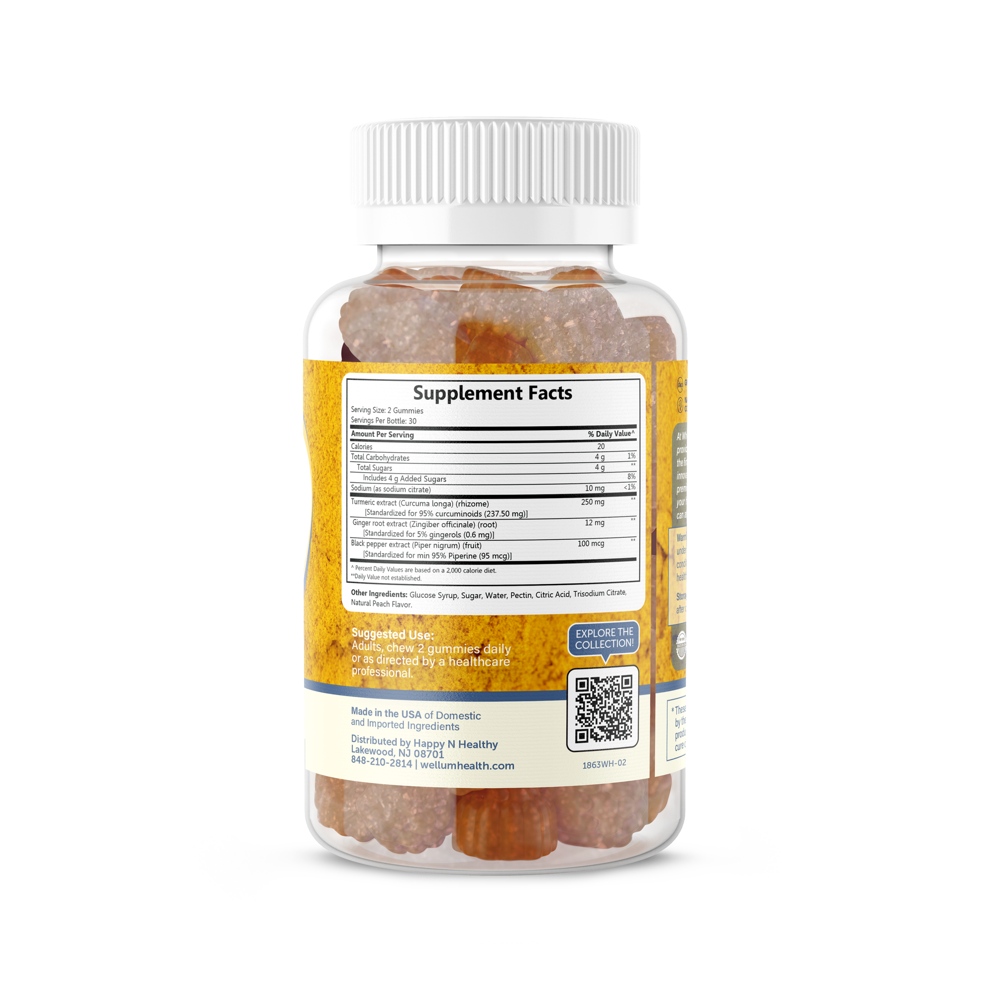 wholesome health turmeric ginger supplement facts