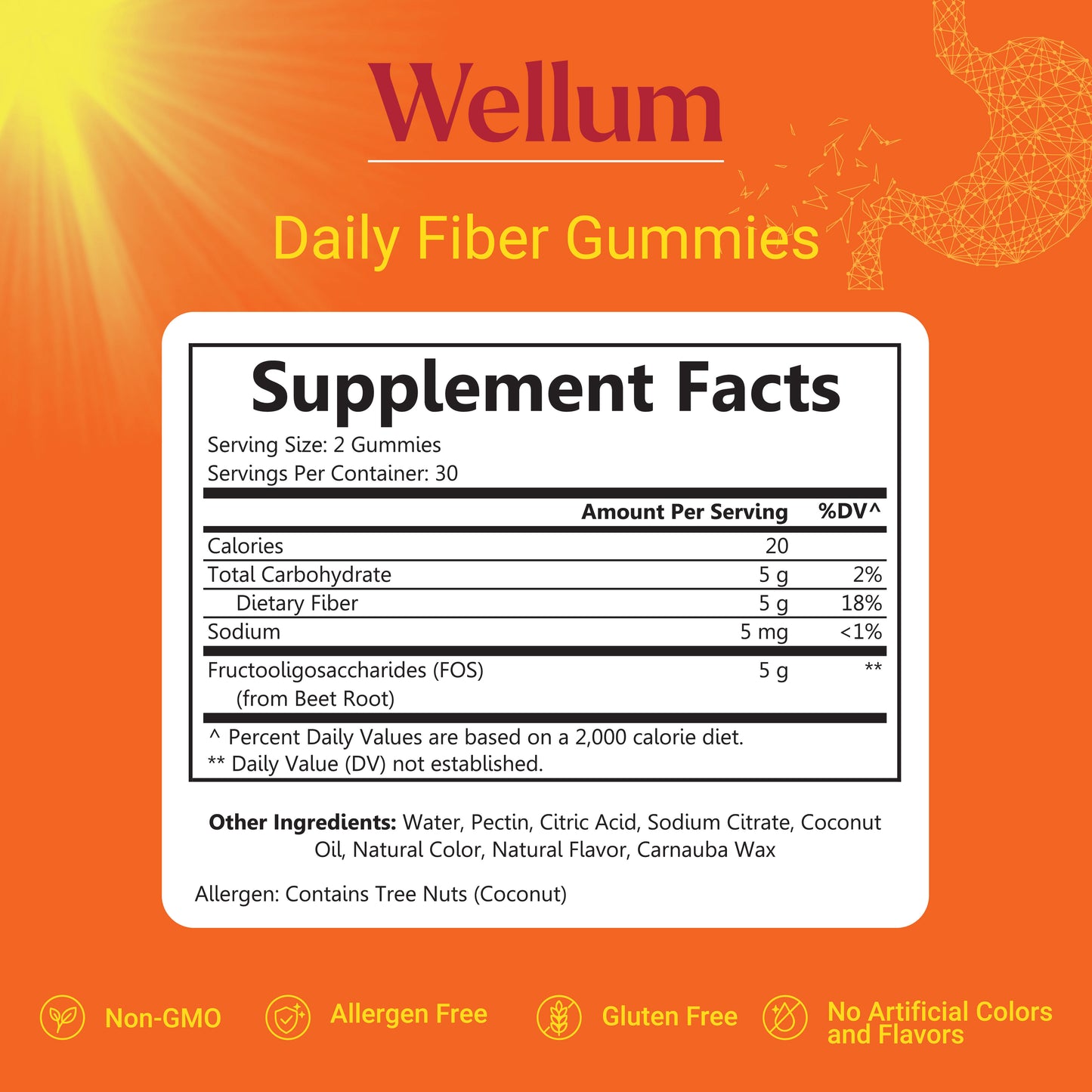 Wellum Daily Fiber Pouch 60ct Gummies